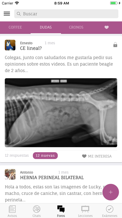 Quadam Mobile Screenshot
