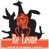 Re Leone Animal Store