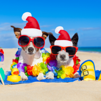 Meme Soundboard Pro Max