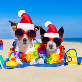 Meme Soundboard Pro Max