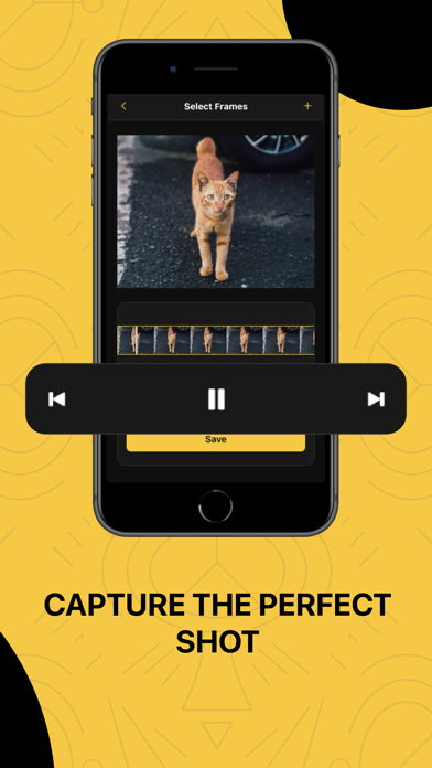 Frame Grabber: Video to Photo Screenshot