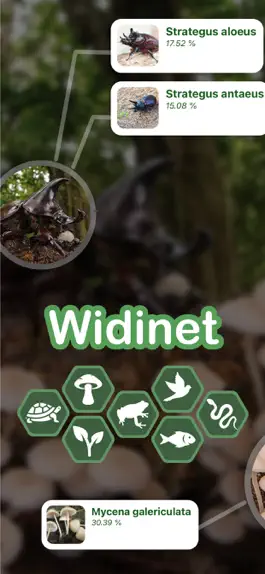 Game screenshot Animal & Plant Identifier mod apk
