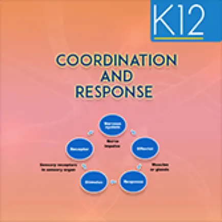 Coordination and Response Читы