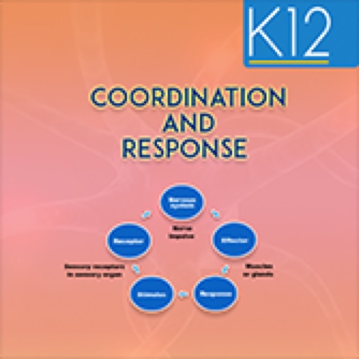 Coordination and Response icon