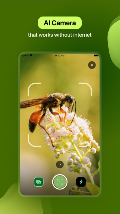 Insect Identifier screenshot-4