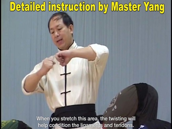 Screenshot #5 pour Shaolin Kung Fu Fundamental
