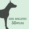 Dog Skeleton 3D Atlas