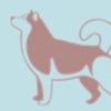 Canine Matters icon