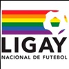 Ligay Nacional De Futebol icon