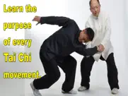 tai chi martial applications ipad images 4