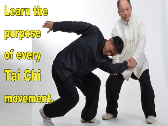 Tai Chi Martial Applications iPad screenshot 4 - Health & Fitness app