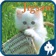 Cats Jigsaw Puzzles - Titan app icon - Games app for iPhone