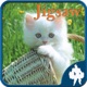 Cats Jigsaw Puzzles - Titan app icon - Games app for iPhone