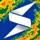 Storm Radar: Weather Tracker