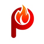 Download Pyro Netsis Mobil app