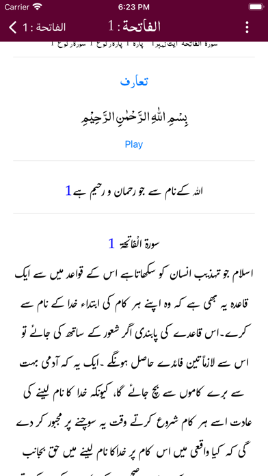 Tafheem ul Quran - Tafseer Screenshot