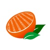 Citrus ERP icon