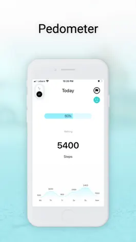 Game screenshot Pedometer Go mod apk