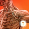 Human Body for Kids 2 (K-5) - iPhoneアプリ