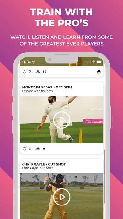 Cricket Allrounder Screenshot