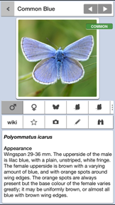 Butterflies & Day Moths UK screenshot