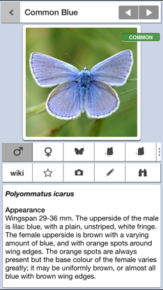 Butterflies & Day Moths UK screenshot 1