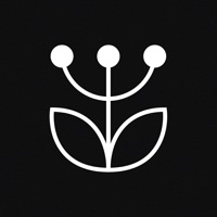 Gyógyító növények számos bajra logo