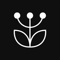 Gyógyító növények számos bajra