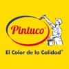 Pintuco® icon