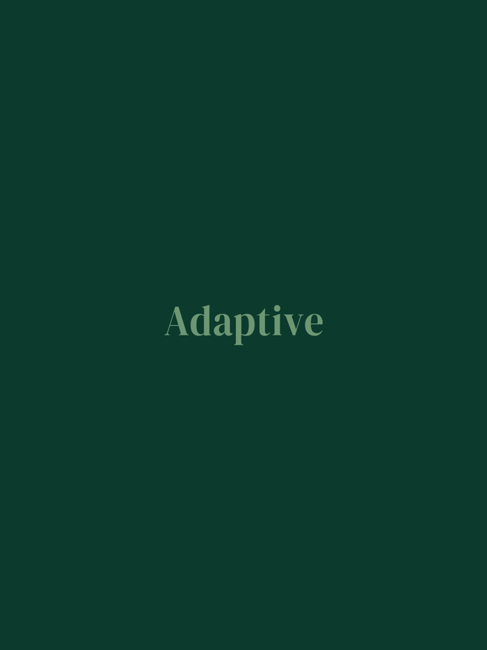 Adaptive Build