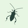 Forest Pests icon