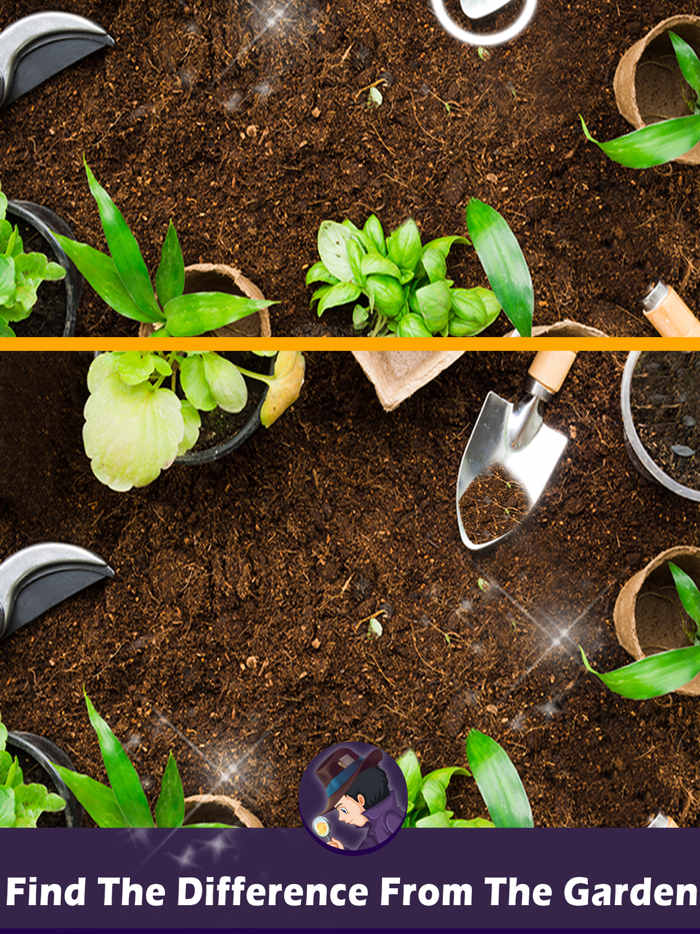 New Find The Difference 2021