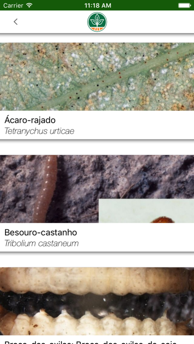 IZagro Screenshot