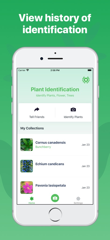 Plant Identification ++ - Education App | MWM