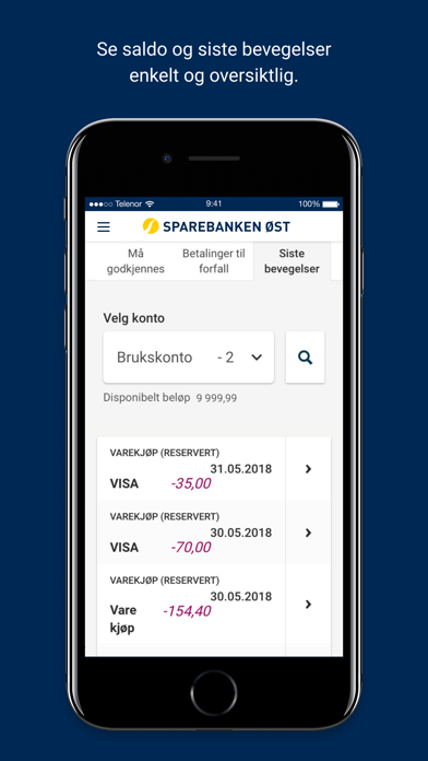 Sparebanken Øst Mobilbank Screenshot