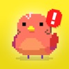 Find Bird - match puzzle icon