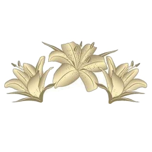 Lilies N Grace Boutique icon