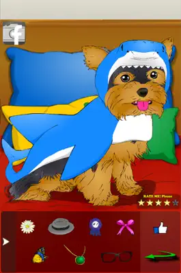 Game screenshot Poor Little Dog: Yorkie apk