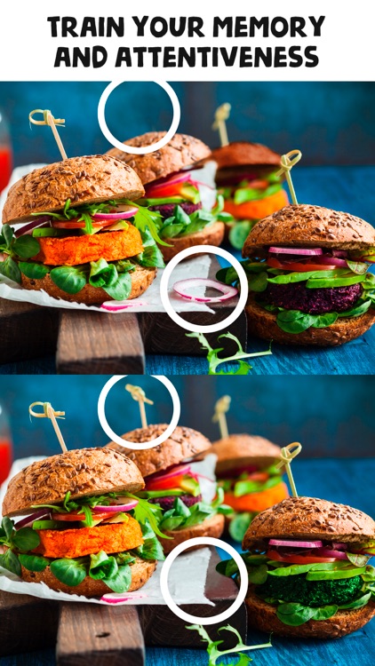 Panda Quest - Find Differences