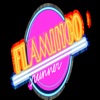 FlamingoRunner