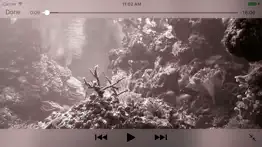 reef aquarium 2d/3d iphone screenshot 2
