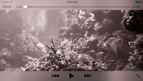 Reef Aquarium 2D/3D