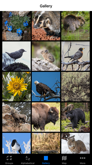 Yellowstone NP Field Guide screenshot 3