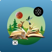 AR book - Book of wonders