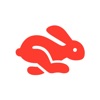 Rabbit - PiP Video Browser icon