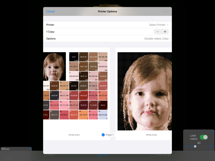 ColorHints Mosaic