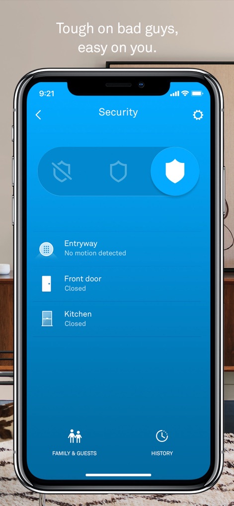 Nest - 強固なセキュリティ