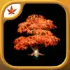 Fire Maple Games - Collection