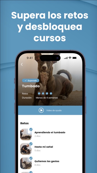 Mister Cooper - Adiestramiento Screenshot