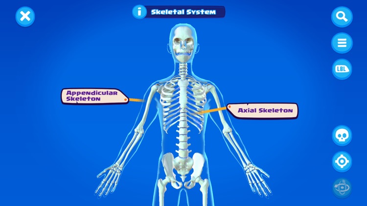 U.S. Army STARS Anatomy